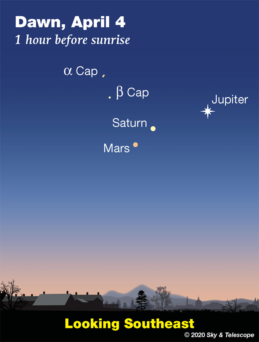 The three brightest outer planets keep each other company low in the southeast before and during early dawn. Bring binoculars to look for the tiny moons of Jupiter while the sky is still dark (they're very close in to its upper right and/or lower left), and to split the yellow double star Alpha Capricorni.