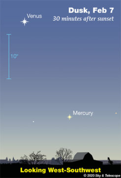 Venus and Mercury in twilight, early February 2020