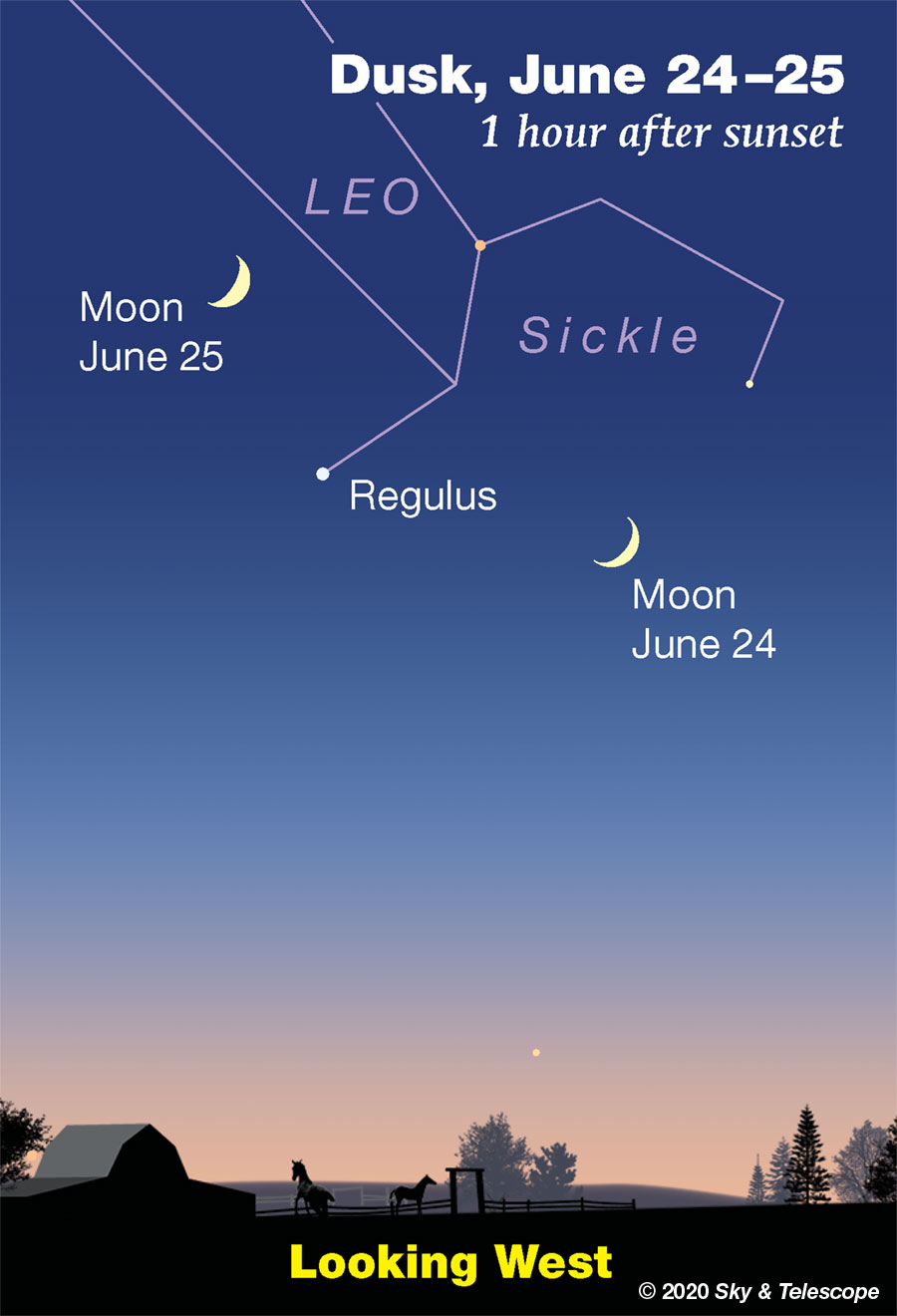 Crescent Moon passing Regulus, June 24-25, 2020