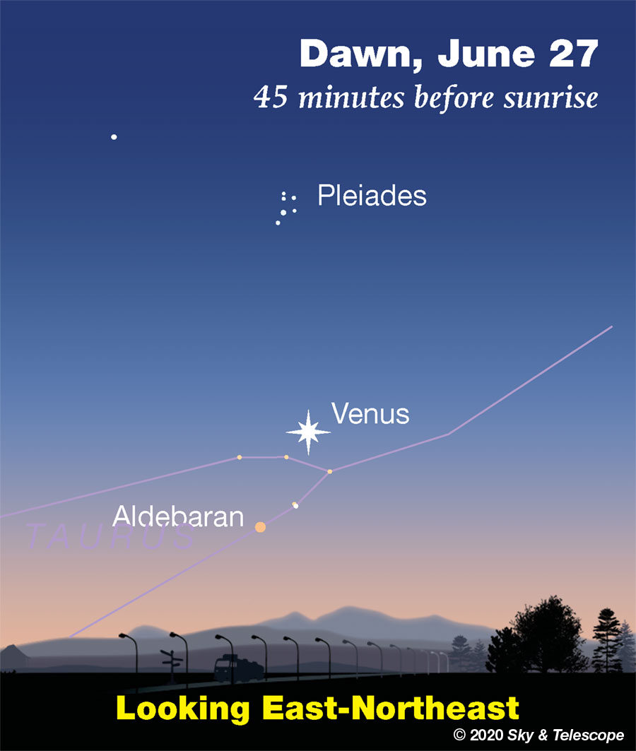 Venus and stars low in the dawn, late June 2020