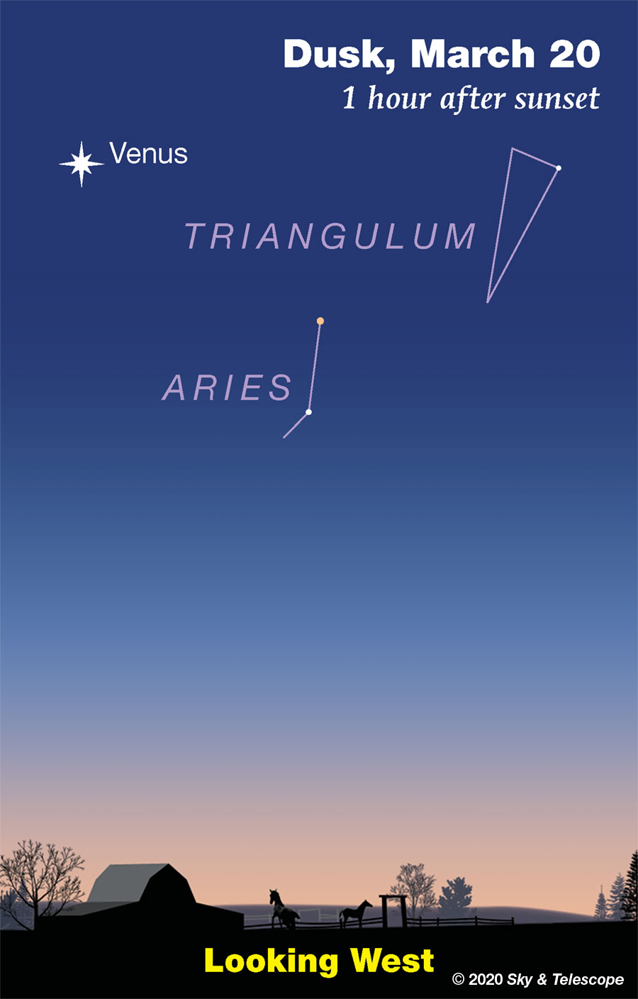 Once darkness falls, look for Aries and dimmer Triangulum some 12 to 16 degrees from brilliant Venus (March 20, 2020).