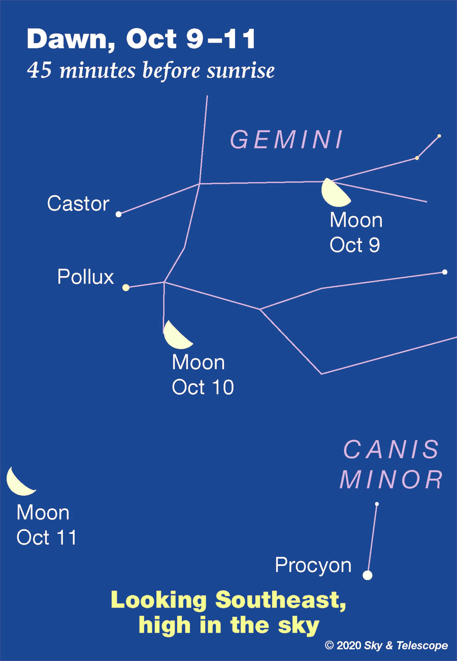 Moon at dawn, Oct 9-11, 2020