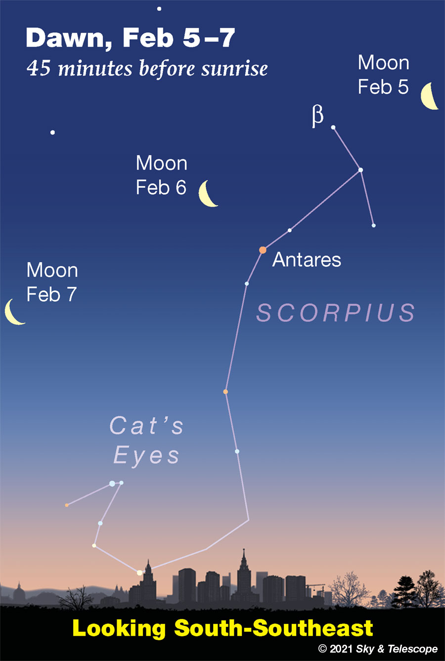 This Week s Sky at a Glance February 5 13 Sky Telescope