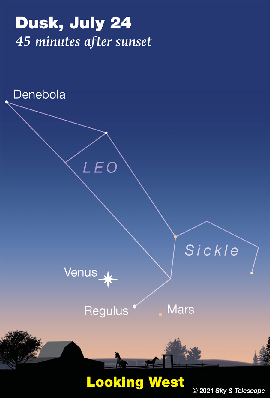 Venus, Regulus and Mars very low in the western twilight, July 24, 2021.