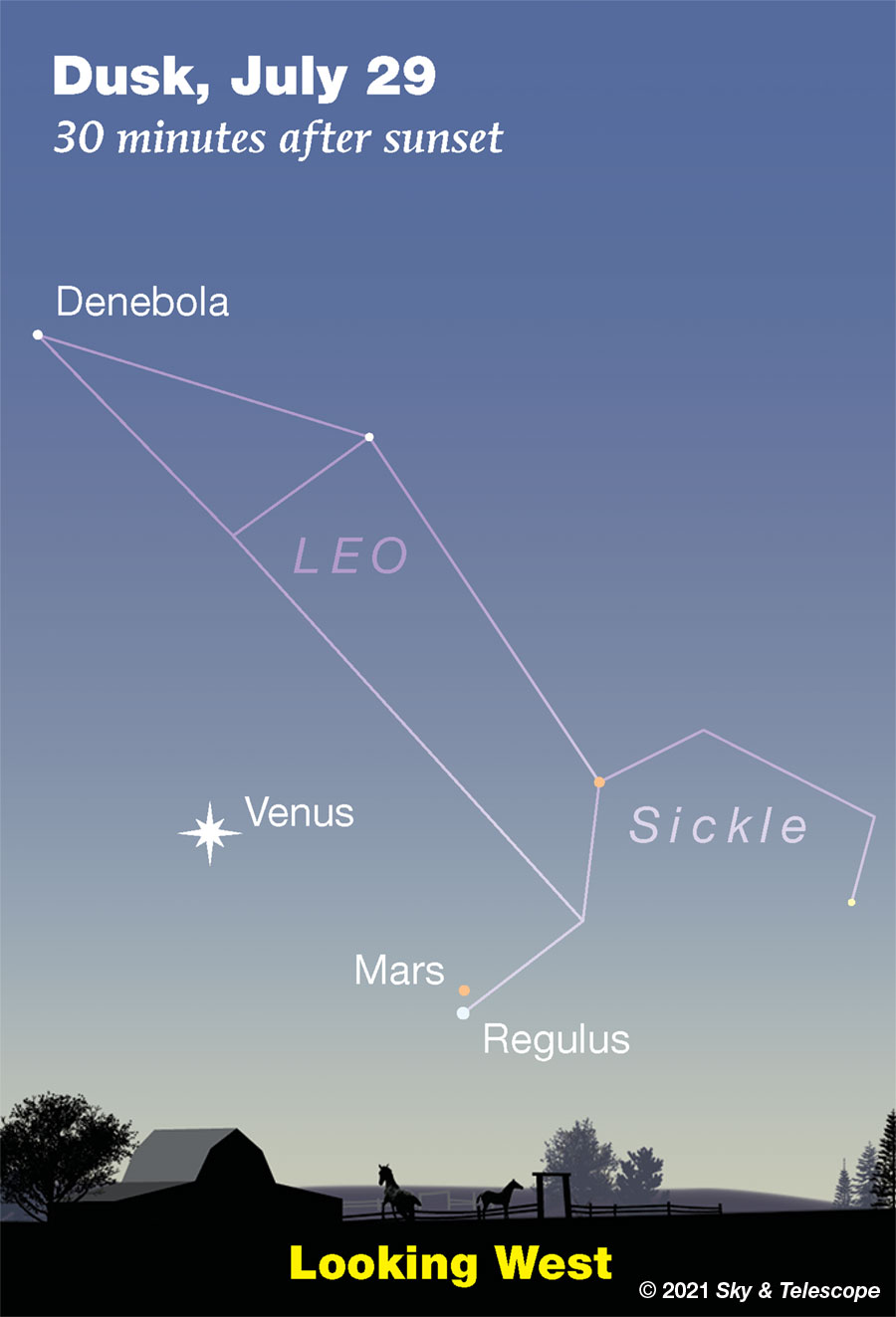 Doorstep Astronomy: See the Summer Triangle