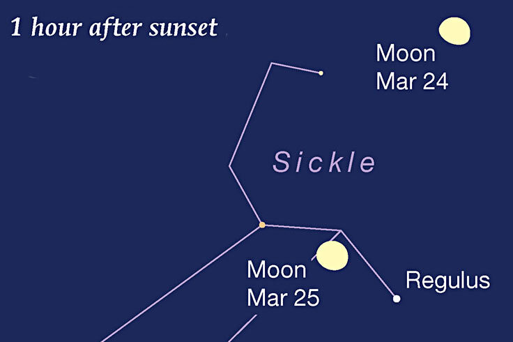 Moon and Regulus, March 24-25, 2021