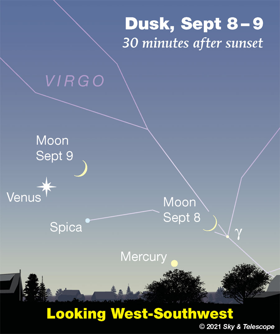 This Week's Sky at a Glance, September 3 – 11 - Sky & Telescope - Sky ...