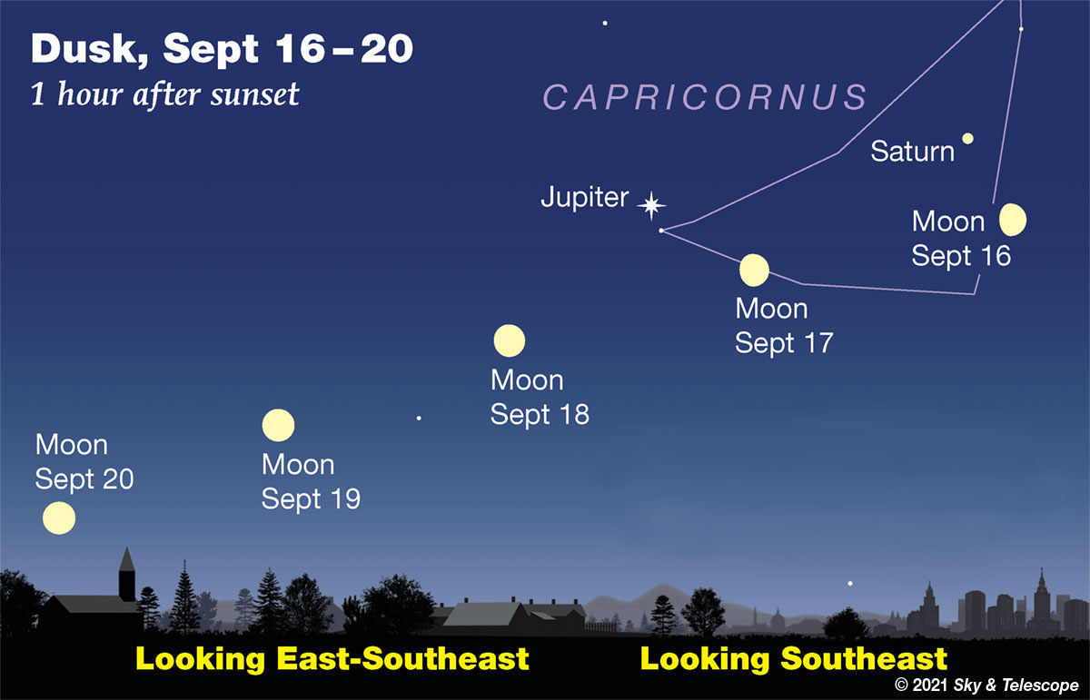 Falcons: Coincidental 3-hour, 28-minute lunar eclipse set for Friday