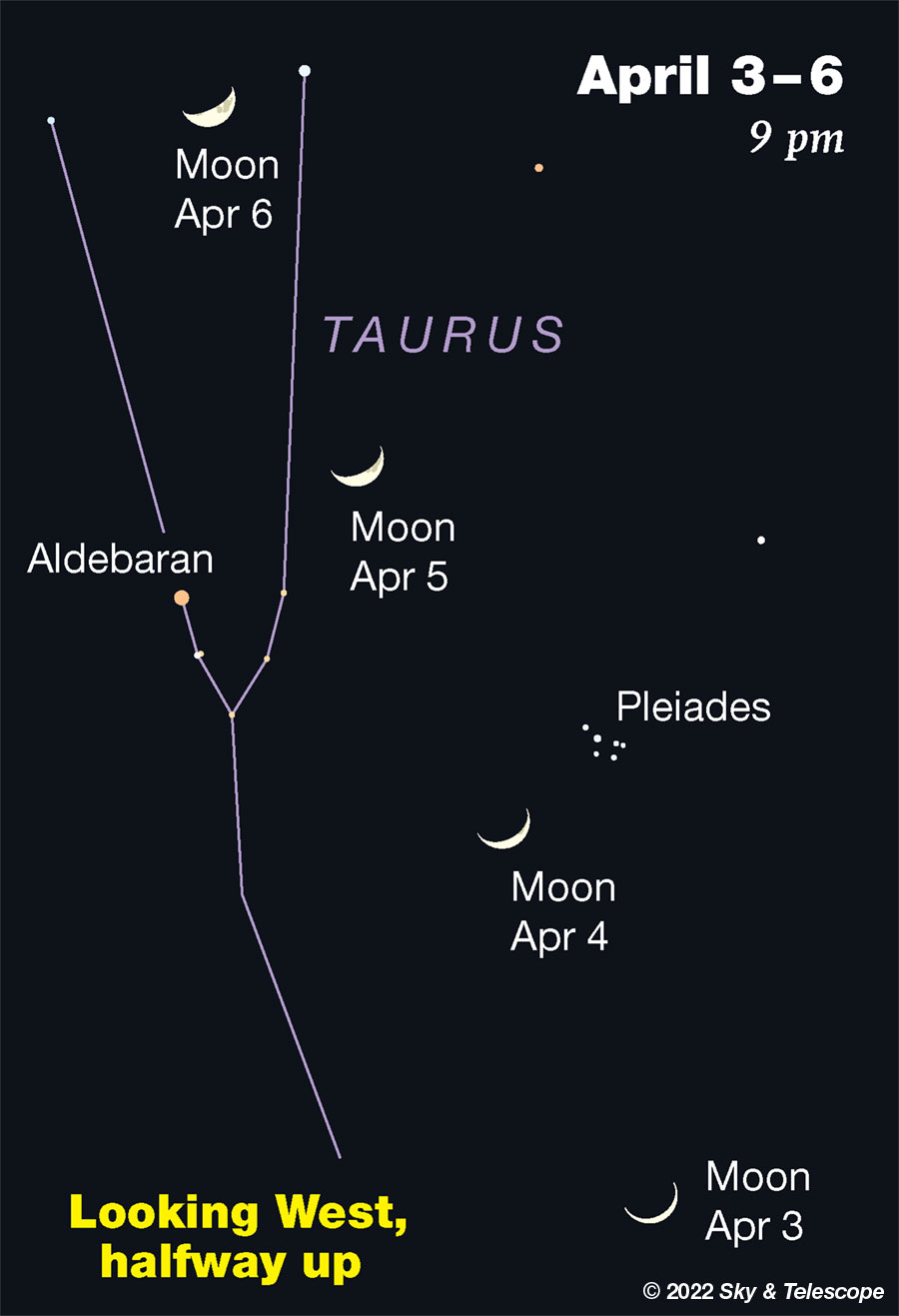 The waxing crescent Moon passes the Pleiades and Aldebaran, April 3-6, 2022.