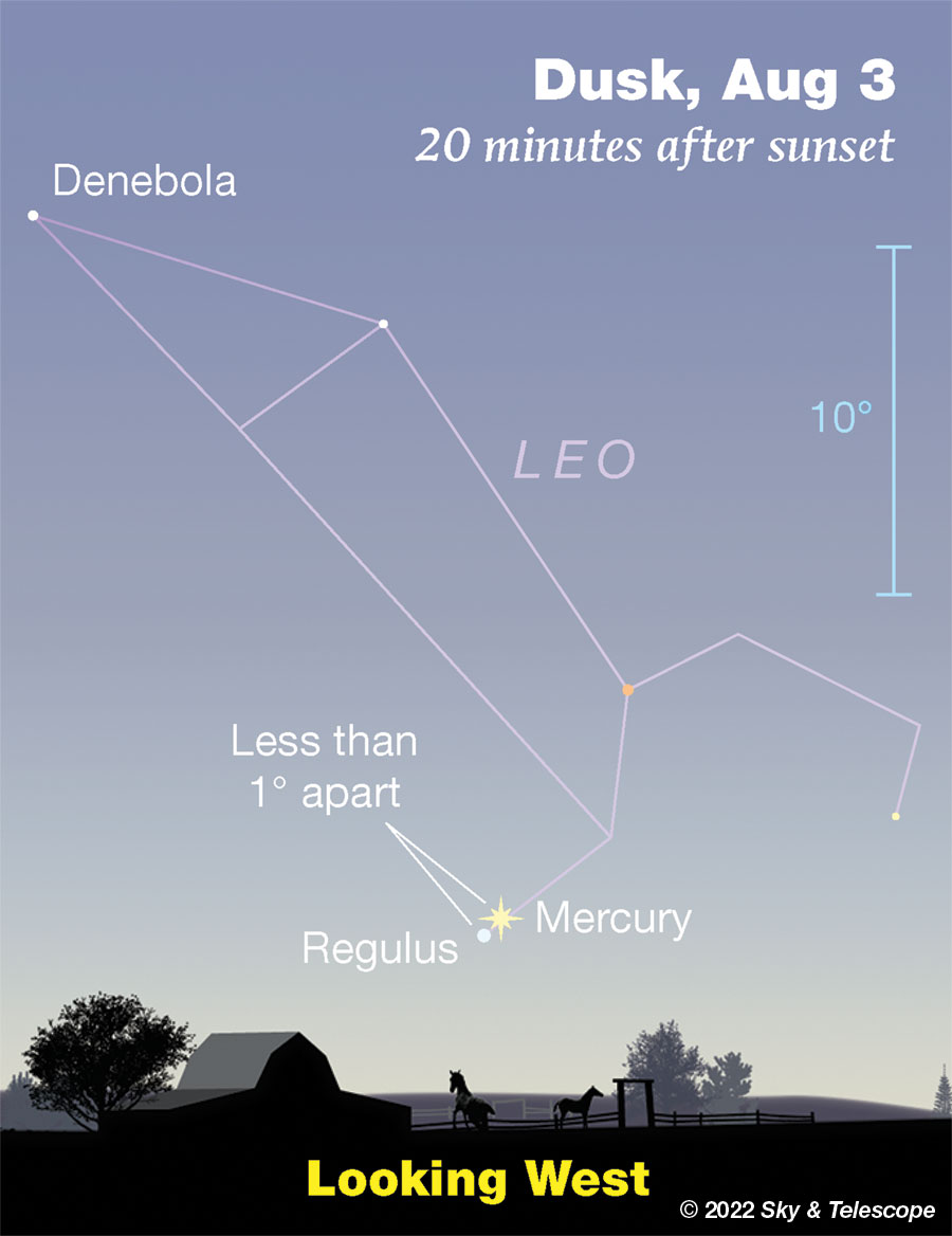 Regulus and Mercury are in conjunction very low in bright dusk Aug 3, 2022 