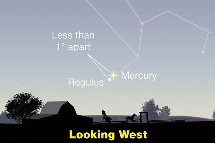 Mercury and Regulus very low in bright twilight, Aug. 3, 2022