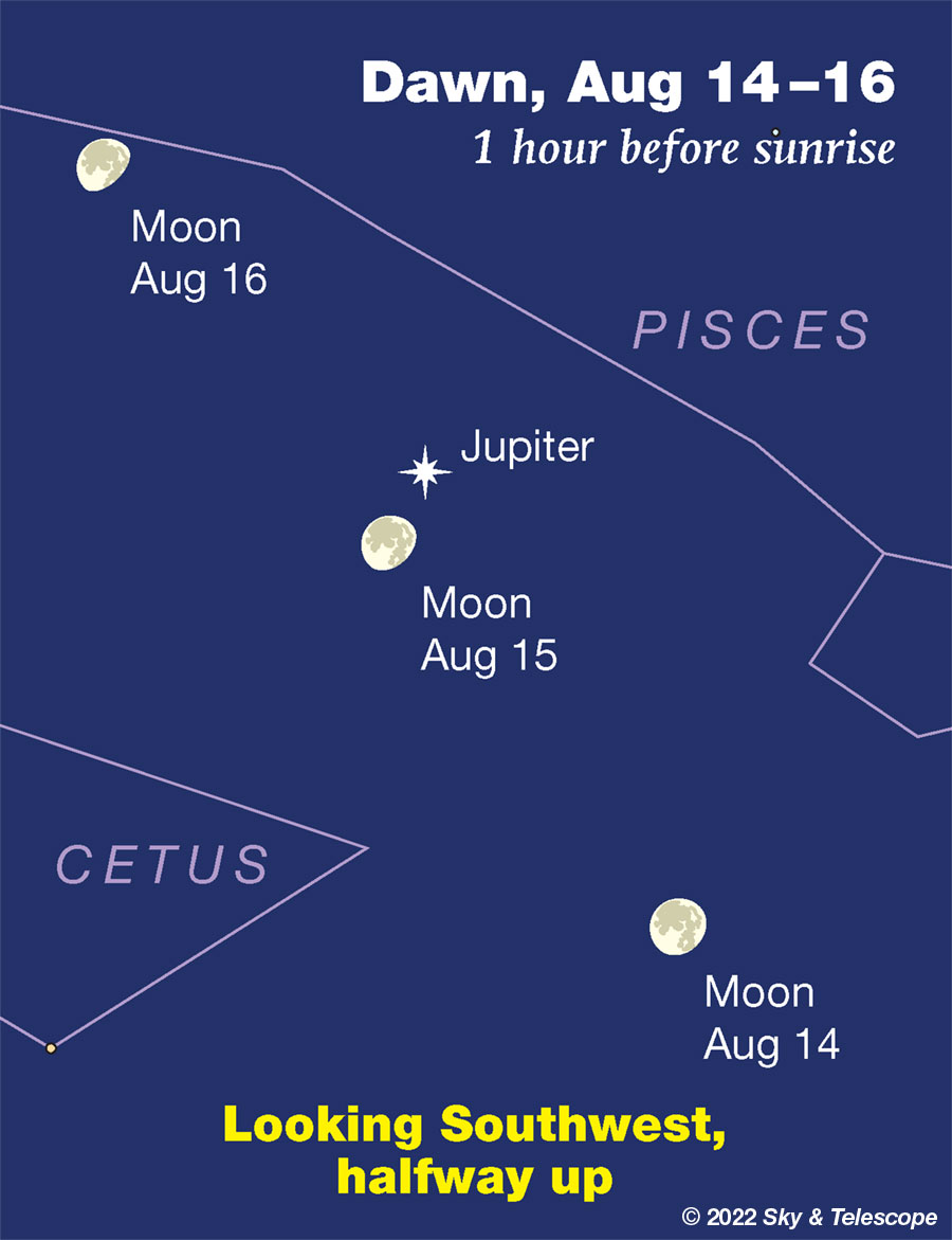 Waning Moon and Jupiter at dawn, Aug 14-16, 2022