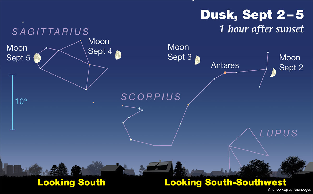 This Week's Sky at a Glance, September 2 – 10 - Sky & Telescope - Sky &  Telescope