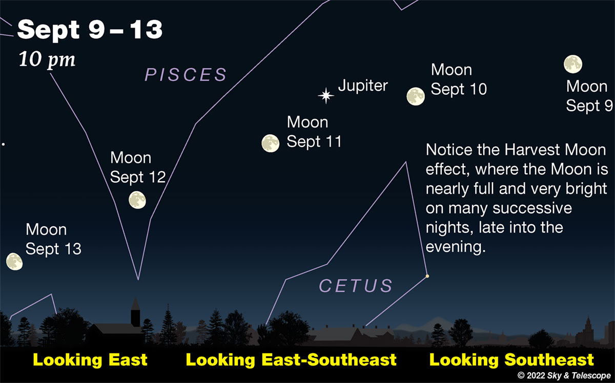 The Harvest Moon turns waning gibbous as it passes Jupiter.