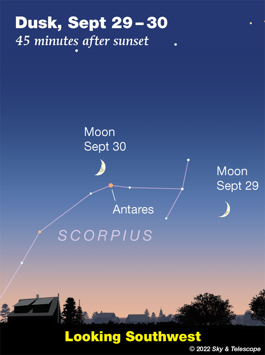 Moon crossing Scorpius and posing with Antares, Sept. 29-30, 2022