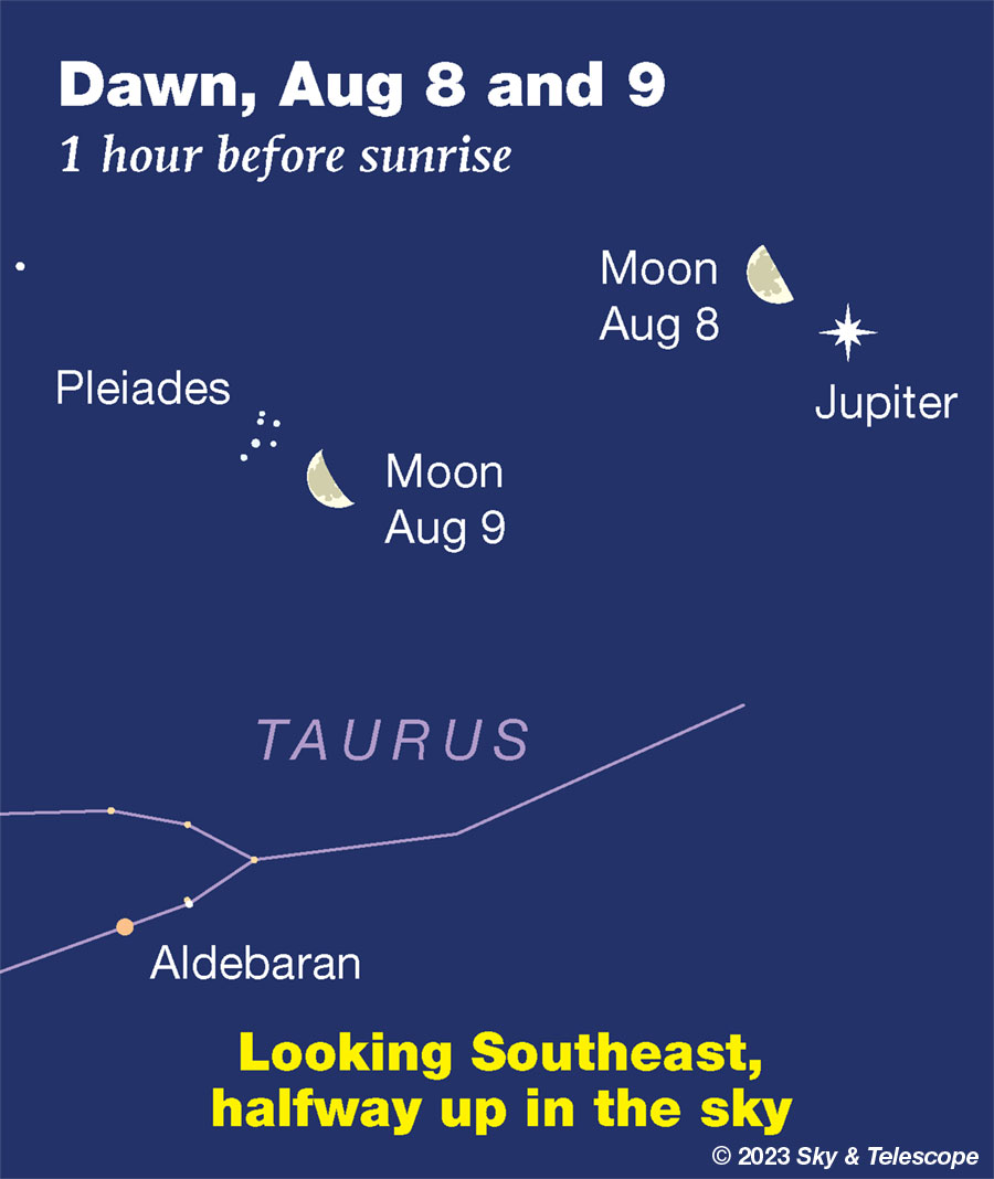Moon with Jupiter and the Pleiades before dawn, Aug 8 and 9, 2023