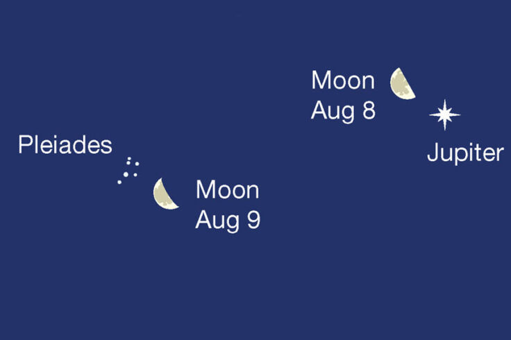 The Moon with Jupiter and the Pleiades, dawn of Aug 8 and 9, 2023