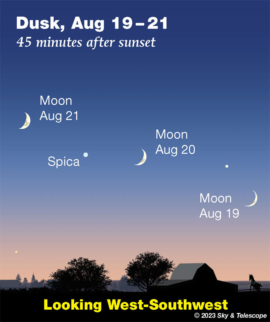 Waxing crescent Moon passing Spica at dusk, Aug 19 - 21