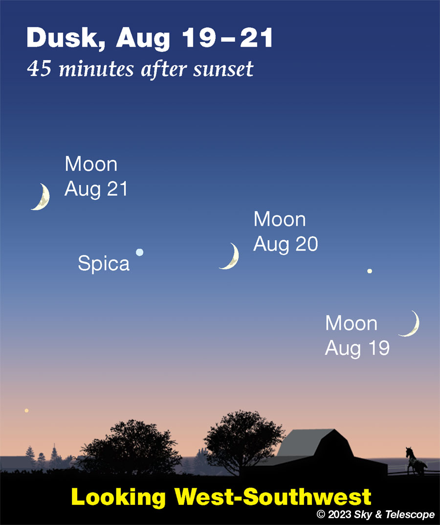 This Week's Sky at a Glance, August 18 – 27 - Sky & Telescope