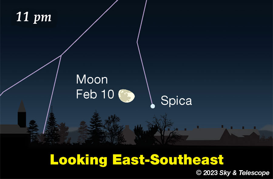 Moon and Spica rising, Feb. 10, 2023