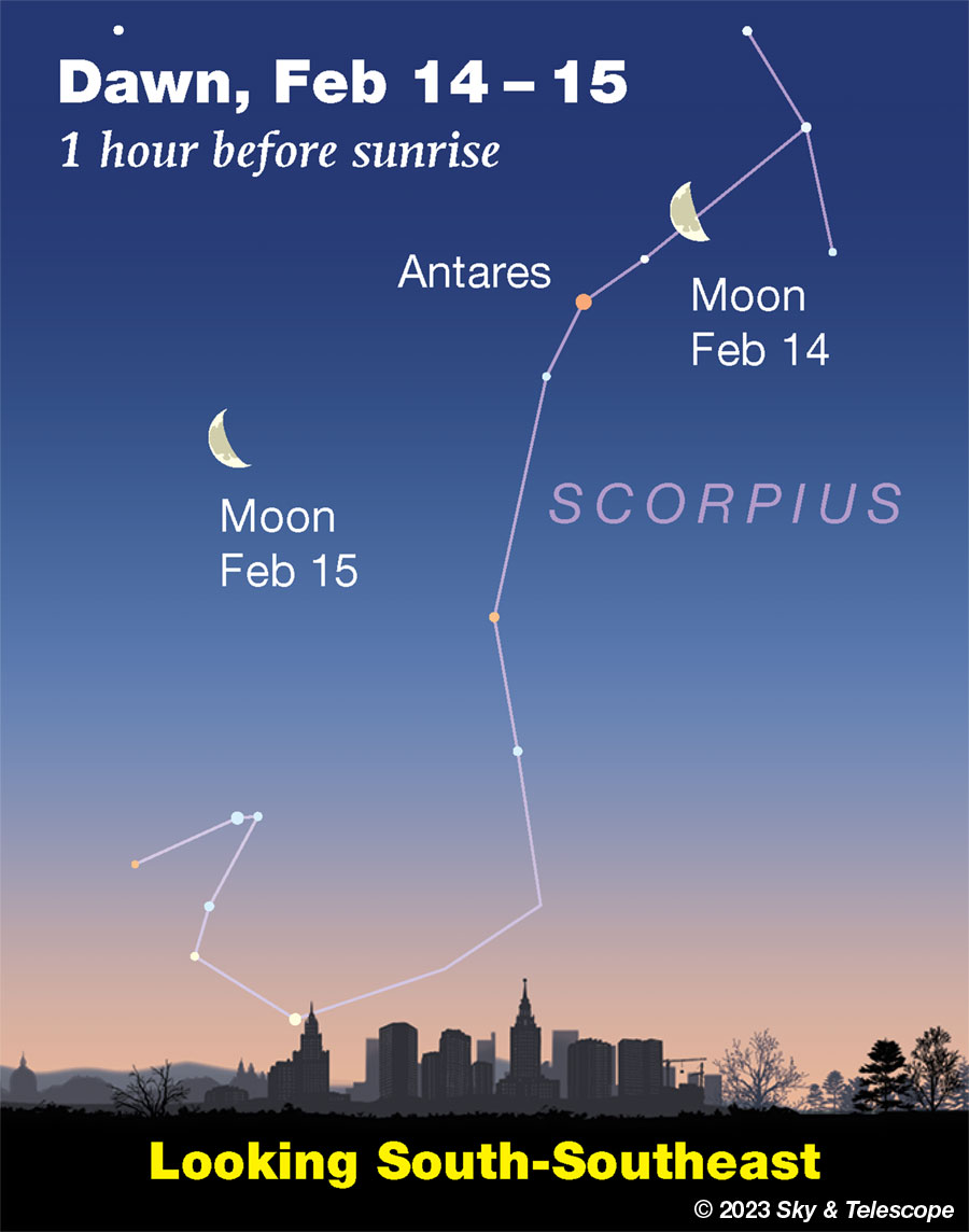 The waning Moon passing Antares in early dawn, Feb. 14 and 15, 2023