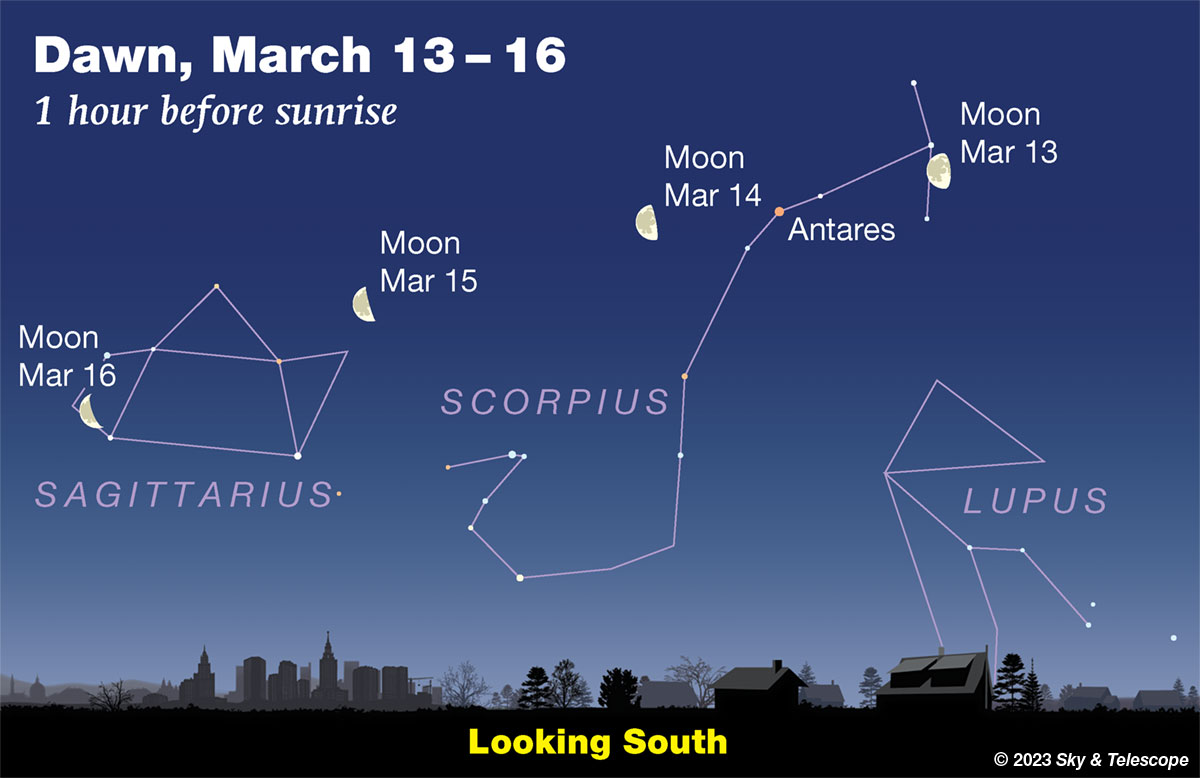 The last-quarter Moon in the dawn passes Antares and the Sagittarius Teapot in early dawn, March 13-16, 2023