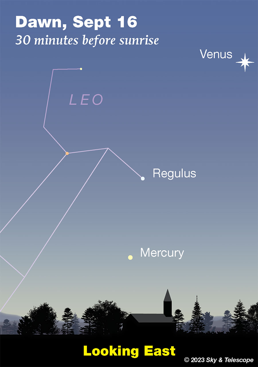 Venus, Regulus, and Mercury at dawn, mid-September 2023
