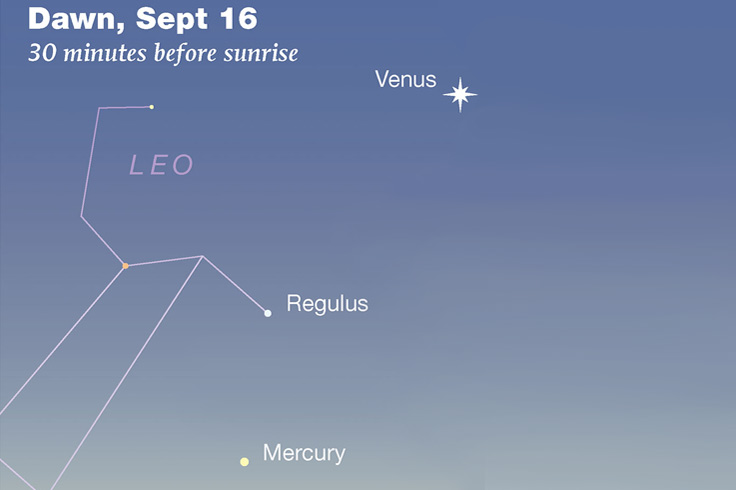 Venus, Regulus, and Mercury in early dawn, Sept 16, 2023