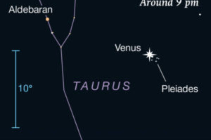 Venus in the Pleiades