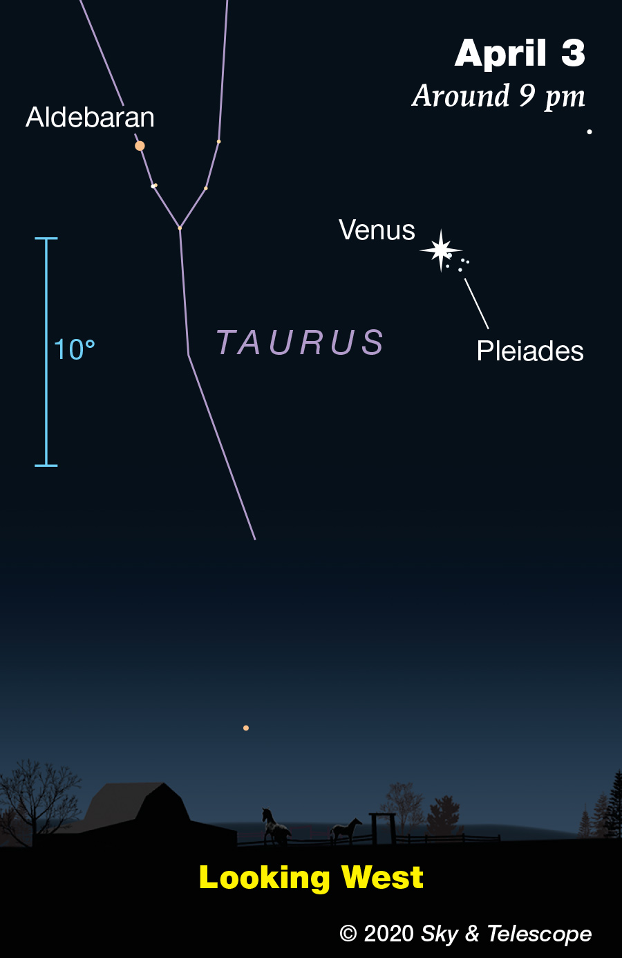 Venus in the Pleiades