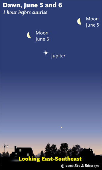 Moon and Jupiter at dawn