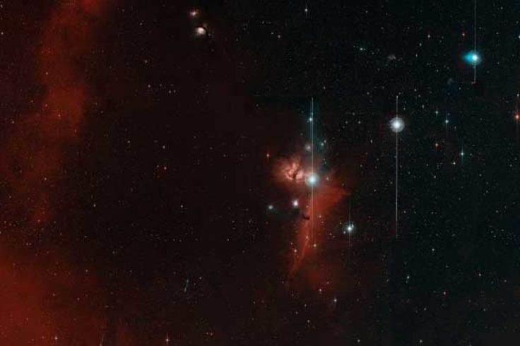 Zwicky Transient Facility first light image in Orion
