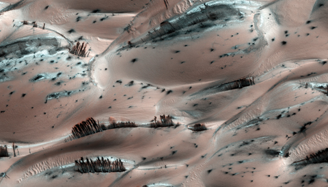 "Tree"-like tendrils of dark sand on Mars