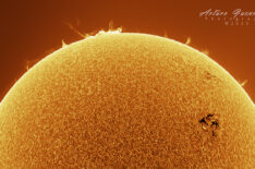 Sparkles in The Sun from Texas