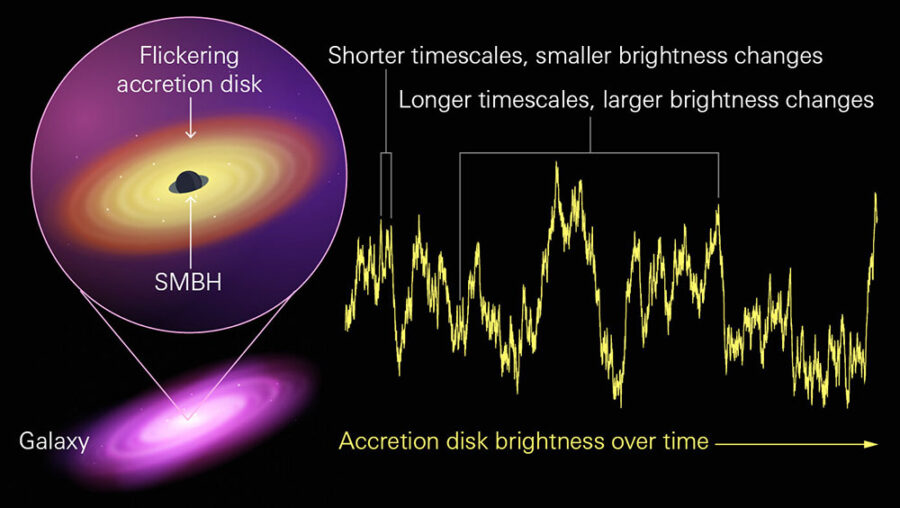 Black hole disk variability