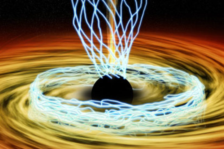magnetic fields around black hole