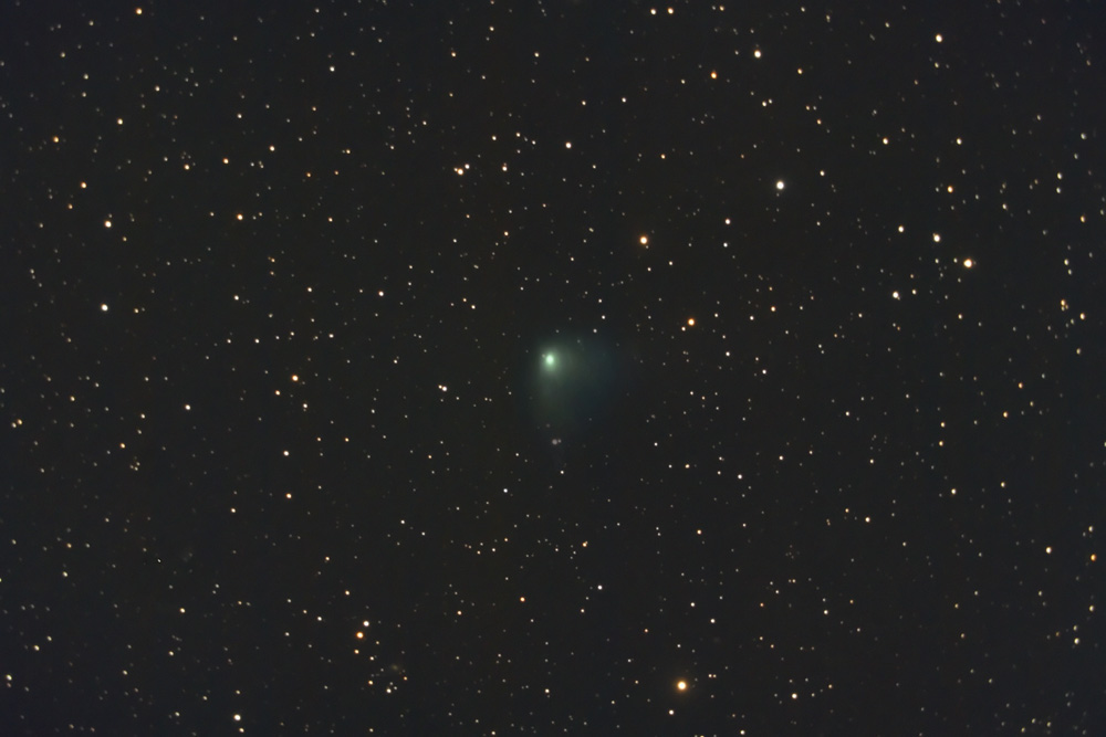 Comet Broughton (C/2006 OF2) | Craig & Tammy Temple - Sky & Telescope ...