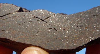 Chondrite with nickel-iron flecks