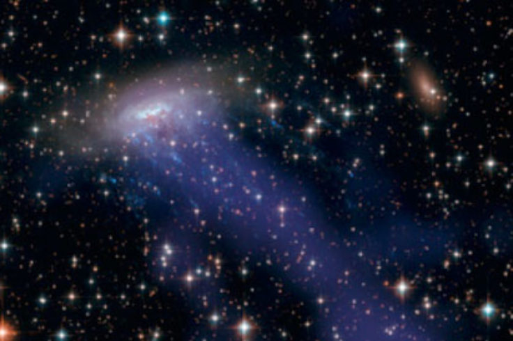 The cluster environment strips gas from galaxies