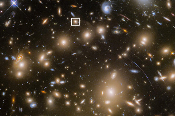 Supernova in a box in galaxy cluster