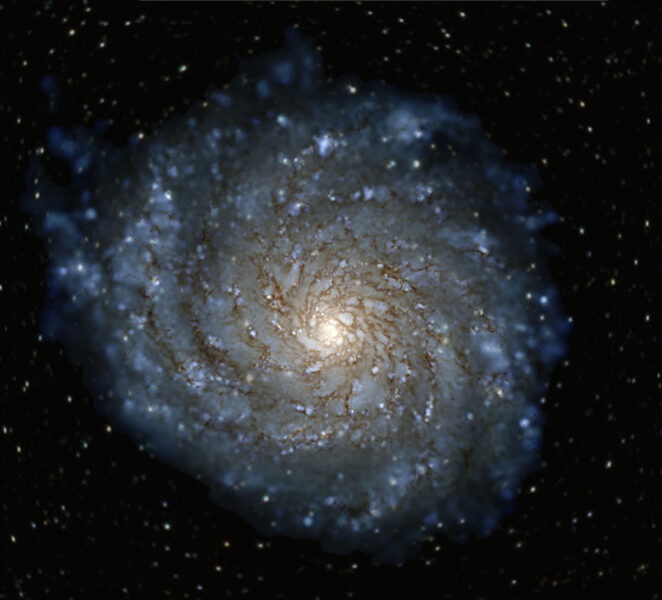 Simulated Milky Way-like galaxy