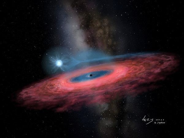 Star orbiting black hole