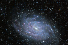 NGC 6744: A Milky Way Analog in Pavo  