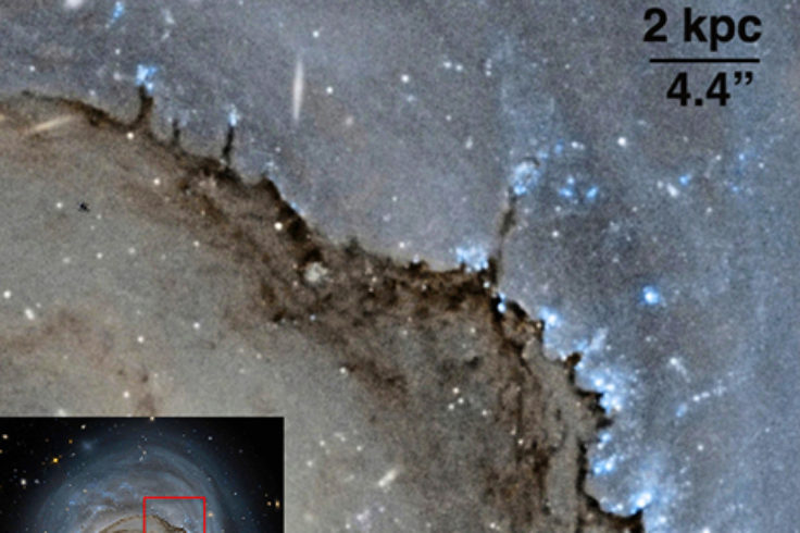 The dust pillars of NGC 4921