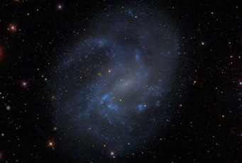 Dwarf galaxy NGC 4395