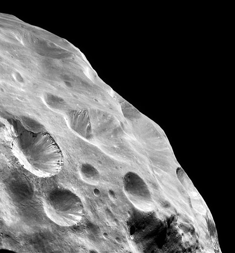 Phoebe; view across limb