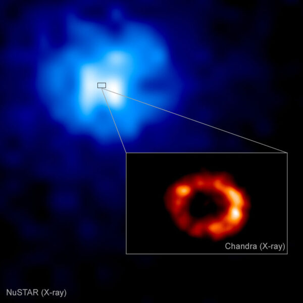 Supernova 1987A in X-rays
