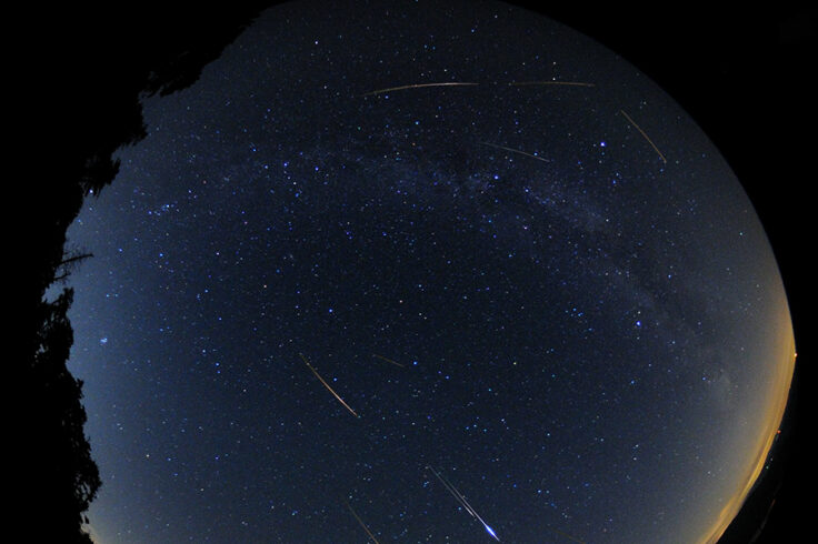 Fisheye Meteor Shower