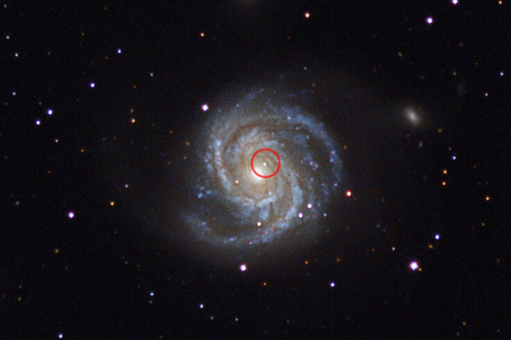 Supernova in a galaxy