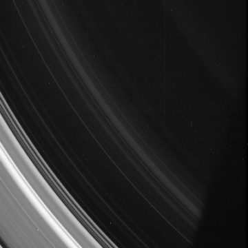 Picture of Saturn's D Ring